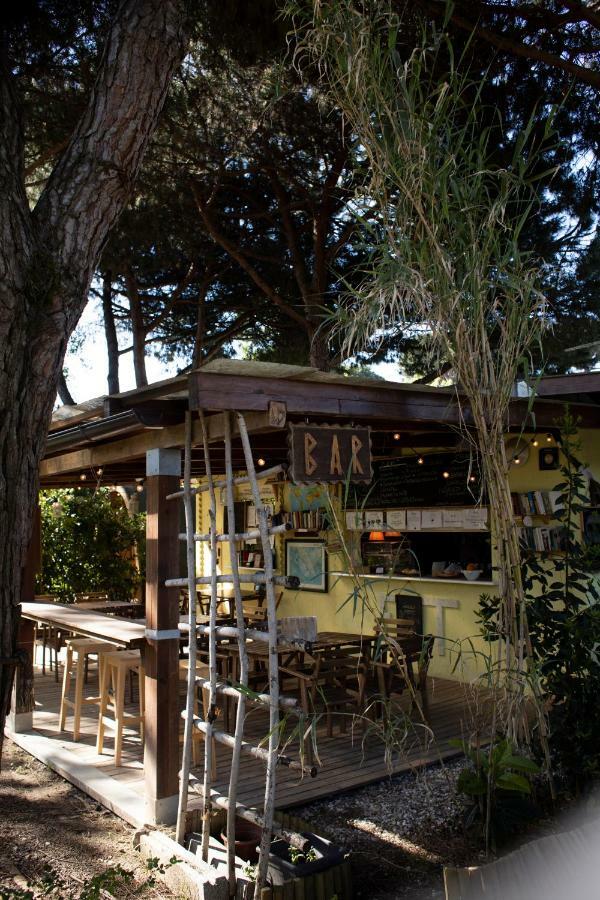 Camping Dolce Sole Marina di Massa Exterior photo